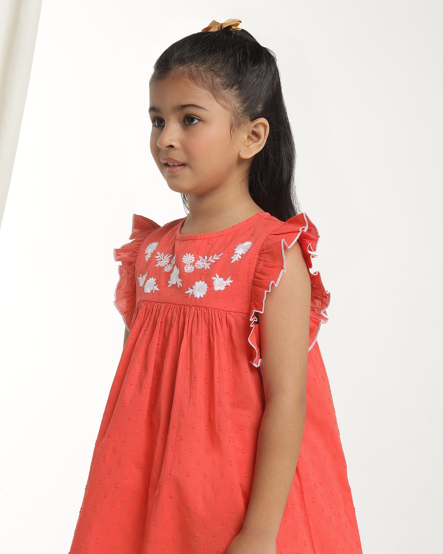 Girls Embroidered Flutter Sleeve Dress
