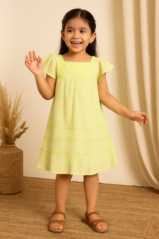 Girls Embroidered Flutter Sleeve Dress