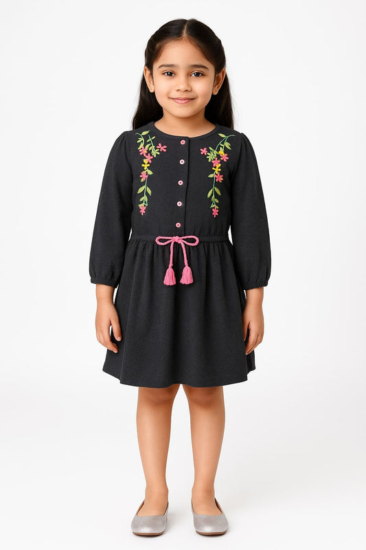Girls Black Embroidered Fit & Flare Dress