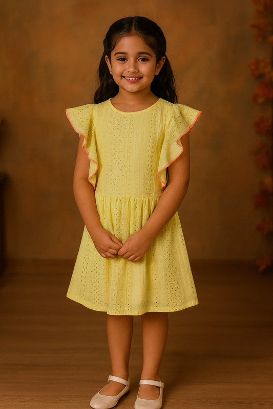 Girls Schiffli Ruffle Sleeve Dress