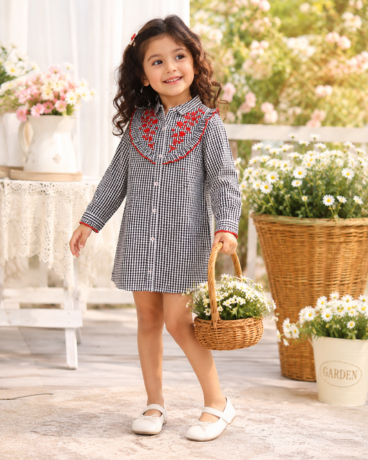 Girls Embroidered Check Dress