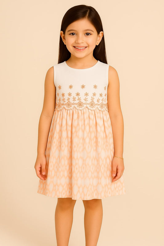 Girls Floral Embroidered Fit & Flare Dress
