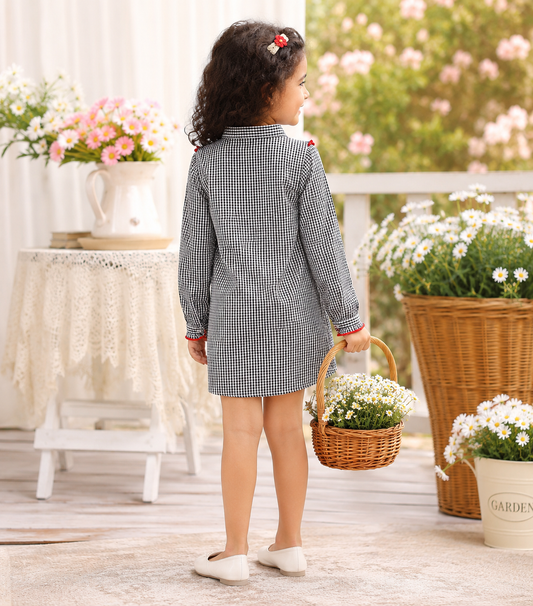 Girls Embroidered Check Dress