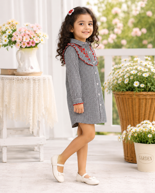 Girls Embroidered Check Dress