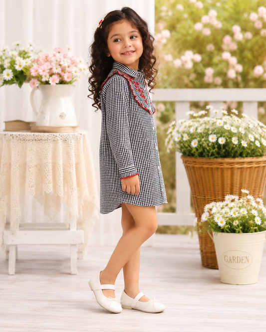 Girls Embroidered Check Dress