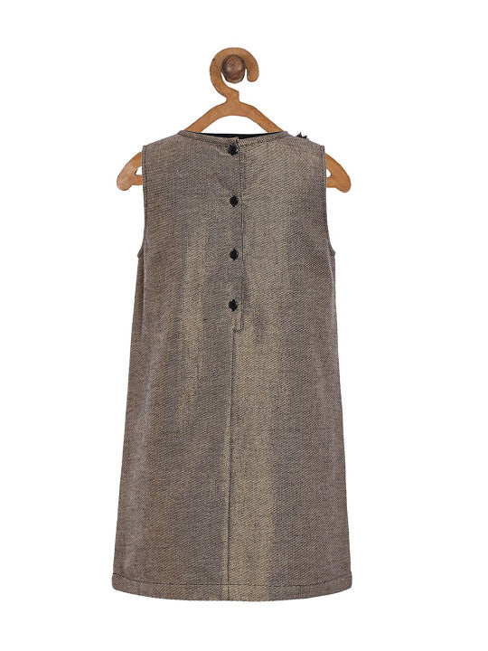 Girls Brown Sleeveless Shift Dress