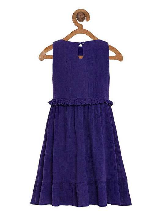 Girls Embroidered Fit & Flare Dress
