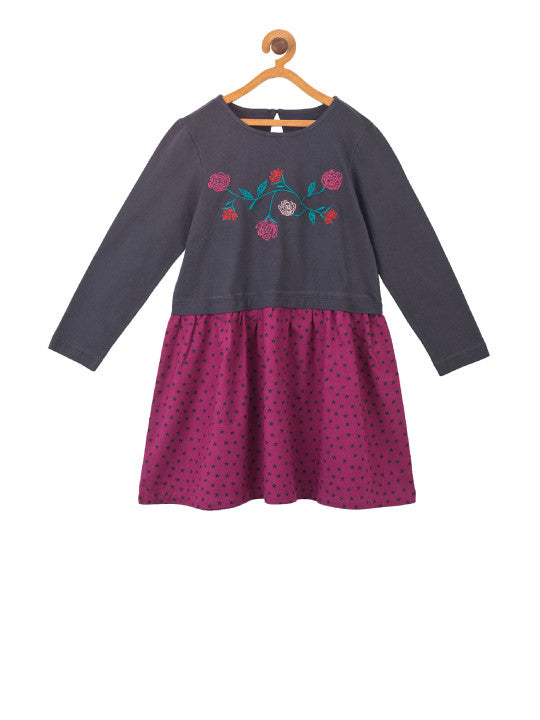 Girls Floral Embroidered Fit & Flare Dress