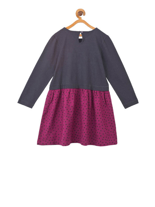 Girls Floral Embroidered Fit & Flare Dress