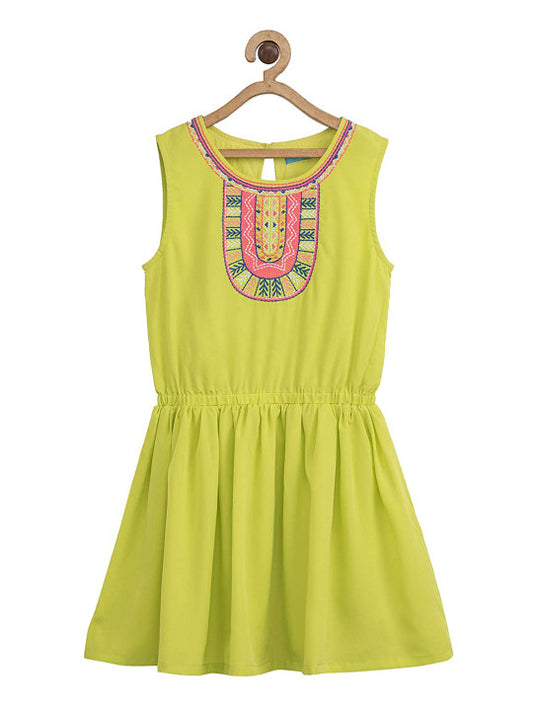 Girls Embroidered Fit & Flare Dress
