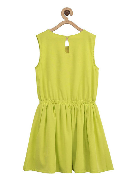 Girls Embroidered Fit & Flare Dress