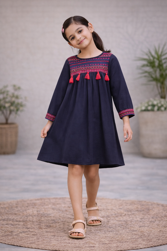 Girls Embroidered Fit & Flare Dress