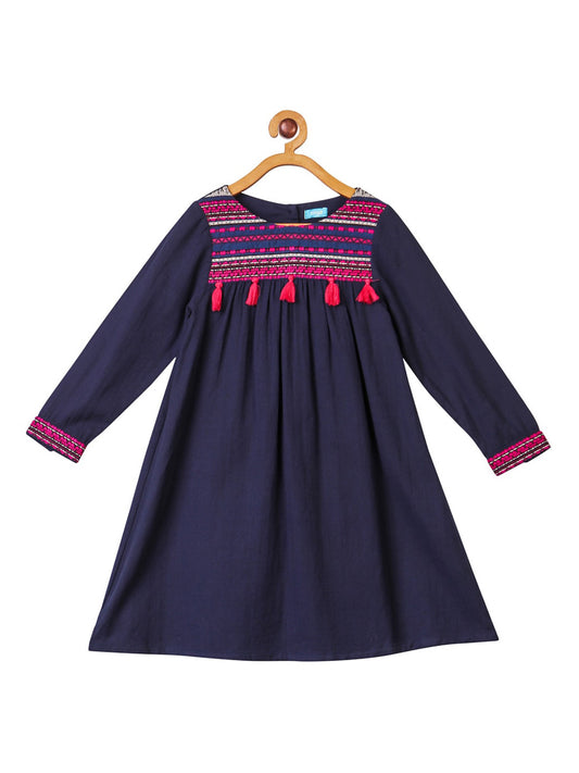 Girls Embroidered Fit & Flare Dress